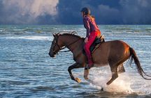 Casablanca Beach Horseback Riding Experience with Hotel Transfers