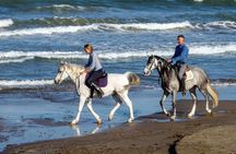 Casablanca Sunset Fun Horseback Ride on the Beach