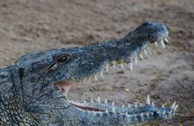 South Mauritius: Crocodile Park, 7-Coloured Earth and Lunch