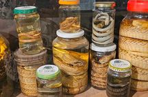 South Mauritius: Crocodile Park, 7-Coloured Earth and Lunch