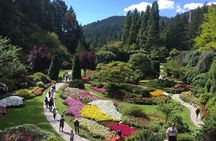 Private Tour Countryside Drive to Butchart Gardens & Victoria 