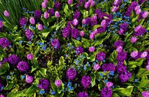 Private Tour Countryside Drive to Butchart Gardens & Victoria 