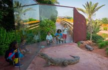 Agadir Crocoparc and Goats On Tree Day Tour