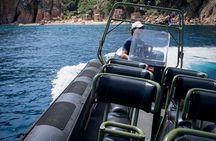 Scandola Girolata The Coves of Piana in Go Fast 10 Pax