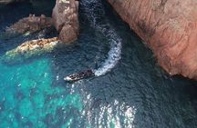 Scandola Girolata The Coves of Piana in Go Fast 10 Pax