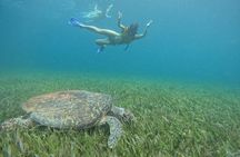 Catamaran with Snorkeling Free Bar and Free Time in Isla Mujeres
