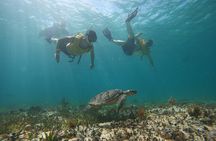 Catamaran with Snorkeling Free Bar and Free Time in Isla Mujeres