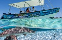 Bora Bora Half Day Manu Lagoon Excursion