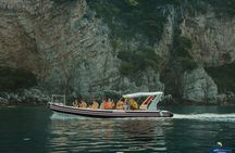 8 Hour Private Sea Safari Speedboat Dubrovnik 
