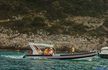 8 Hour Private Sea Safari Speedboat Dubrovnik 