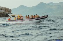 8 Hour Private Sea Safari Speedboat Dubrovnik 