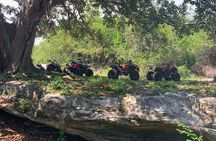 ATV Jungle Adventure to Hidden Mayan Ruins and Caves