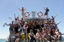 Swim with Wild Dolphins Day Tour