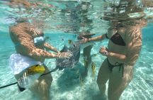 Exceptional Half day on the turquoise lagoon of Bora Bora