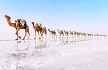 3 Day Danakil Depression and Erta Ale Volcano