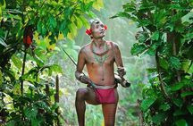 3 Days 2 Nights Siberut Jungle Trekking Mentawai Experience