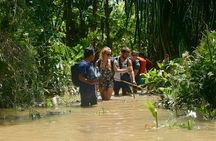 3 Days 2 Nights Siberut Jungle Trekking Mentawai Experience