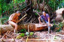 3 Days 2 Nights Siberut Jungle Trekking Mentawai Experience