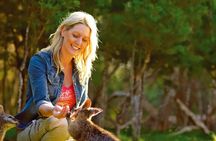 Melbourne Shore Excursion, Wine Region, Wildlife, Shared Tour