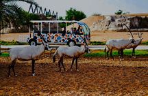 Dubai Safari Park Visit with Hotel Pickup and Drop-off