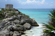 Explore TULUM 4x1: Cobá, Cenote and Mas, with transport + Lunch.