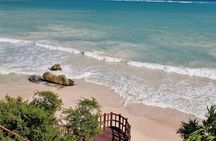 Explore TULUM 4x1: Cobá, Cenote and Mas, with transport + Lunch.