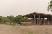 Dubai Safari Park Visit with Hotel Pickup and Drop-off