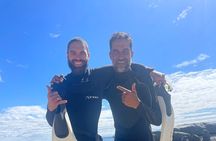 Snorkeling the African Sea Forest in Cape Town