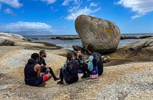 Privately Guided Snorkelling the African Sea Forest, Simonstown
