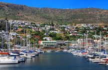 Full-Day Cape Peninsula Tour from Cape Town