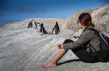Ultimate Full-Day Cape Peninsula Tour & Guided Snorkel Activity