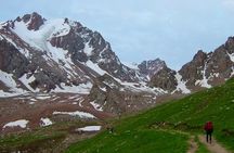 Private Day Hike to Bogdanovich Glacier
