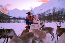 Exclusive Reindeers Experience in small groups, Tromso