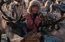 Exclusive Reindeers Experience in small groups, Tromso