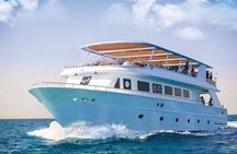 Luxury trip to Orange Bay Island, Snorkelling and Lunch 