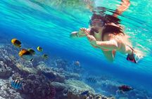 Luxury trip to Orange Bay Island, Snorkelling and Lunch 