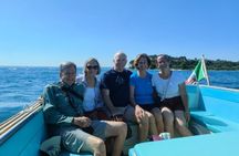 Pagus Wine Tours® - Sirmione by boat and Amarone - Full day tour