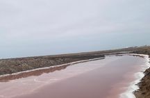 Full Day Sandwich Harbour 4x4 Tour