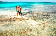 Punta Cana Speed Boat : Saona Island, Turtle Snorkeling & Lunch