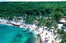 Punta Cana Speed Boat : Saona Island, Turtle Snorkeling & Lunch
