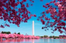 Cherry Blossoms, City Tour, Seasonal Cruise, Optional Tickets