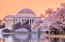 Cherry Blossoms, City Tour, Seasonal Cruise, Optional Tickets