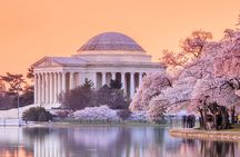 National Mall Tour with Washington Monument and 2 Museums