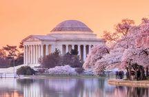Narrated Boat Cruise & DC Bus Tour with 10 Stops, Entry Tickets