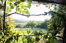 Dining Experience in a 13th-Century Monastery in Florence