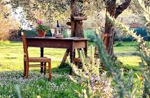 Dining Experience in a 13th-Century Monastery in Florence
