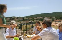 Day trip in Van in the heart of the Provençal Vineyard