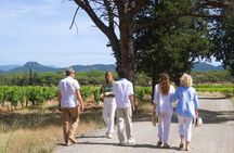 Day trip in Van in the heart of the Provençal Vineyard