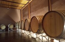 Volterra wines, sensory emotions of organic farming