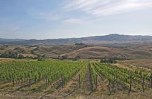 Volterra wines, sensory emotions of organic farming